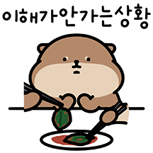 아기 서달이 등장! 8