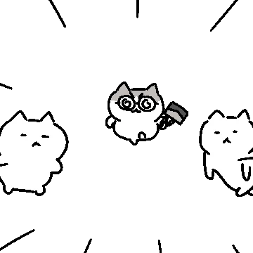 집고양이 재호