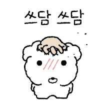 복슬복슬 비숑 숑숑이
