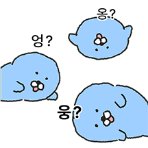 몰라몰랑물개