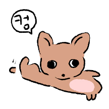 무튼 치와와