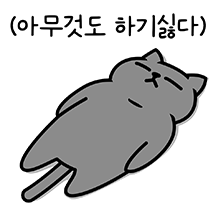 그레이 고양이야 8