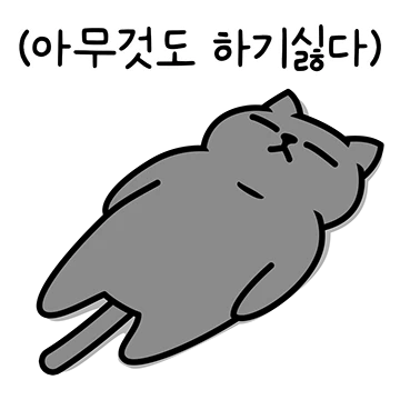 그레이 고양이야 8