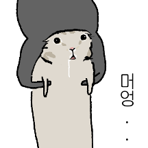 넋나간고양