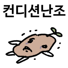 감자에 싹이나서 봄이와서 어쩌라구요