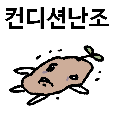 감자에 싹이나서 봄이와서 어쩌라구요