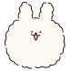 뽀끼