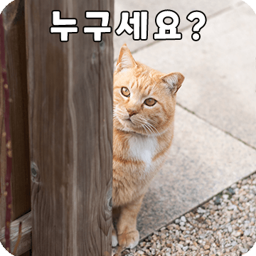 느긋한 고양이 버찌의 귀여운 하루