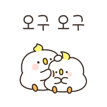 쫑알쫑알 아기앵무 아앵이