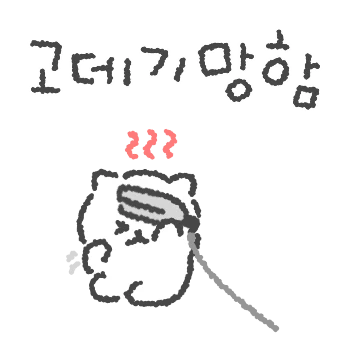 머리 망한 고순이