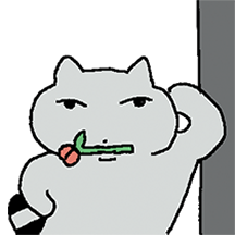 잼나게 살자 라쿤맨