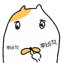 이상한고냥