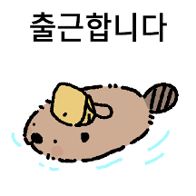 헤실헤실비버