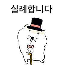 예의바른 예냥씨