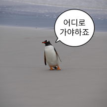 하찮고 귀엽다 새짤 모음 3