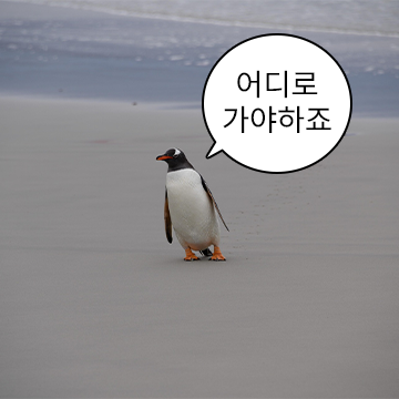 하찮고 귀엽다 새짤 모음 3