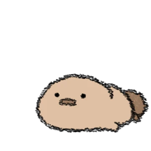 오리너구리나부랭이 7