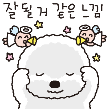 긍정스런 희동이