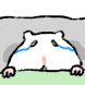 애잔햄