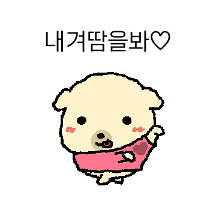 여름날 똔꼬발랄 똔가나지