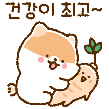 폼포치의 기운찬 하루