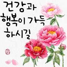 사랑애 꽃인사
