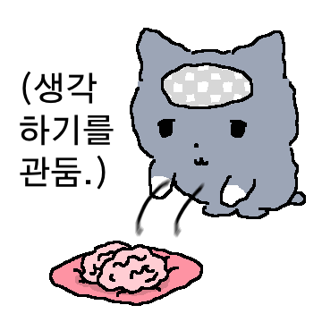 흰양말 고양이 3