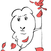 기니휘기 출똥 2