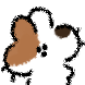 귀가 몰린 고양이
