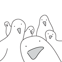 우리동네 김둘기