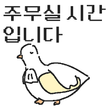 백작둘기의 정중한 하루