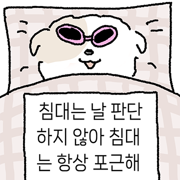 백수지망견 개동구