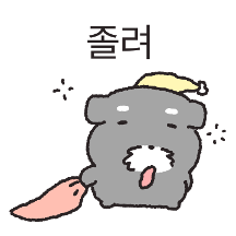 수상한 슈나우저