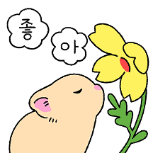 봄꽃 사이로 총총, 새앙토끼 앙지
