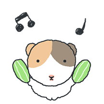 누가 봐도 기니피그