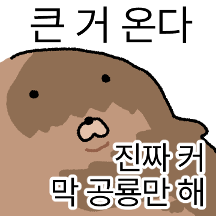 두턱더지