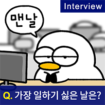 오늘 또 출근! 갈매기 씨구리
