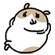 기니씨