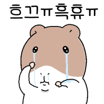 2부)당신이 몰랐던 기니피그 행동 32선