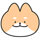 데일리 시바몽