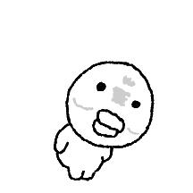 그늘진 흑백오리