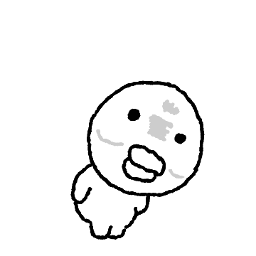 그늘진 흑백오리