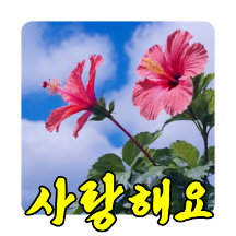 꽃천지 예쁜말