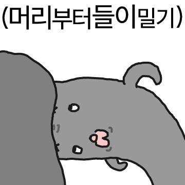 심통이 덕지덕지