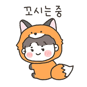 앙큼폭스 찌돌이