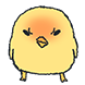 발끈이