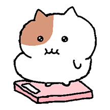 짜글짜글 쫀냐미 2