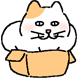 K 고양이