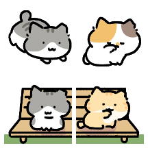 우리동네 고양이