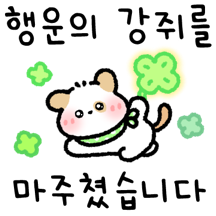 당신은 행운 강쥐를 마주쳤습니다!